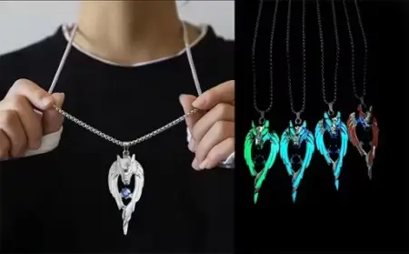 Glow in the Dark Wolf Pendant/Locket Necklace for Men & Women – Silver-Plated Stainless Steel, Long Chain ( default, Standard ).